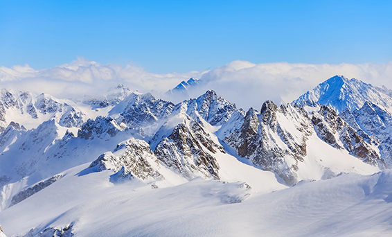 9001cc金沙以诚为本(中国)有限公司官网