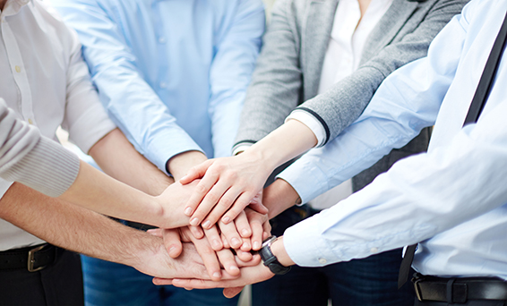 9001cc金沙以诚为本(中国)有限公司官网