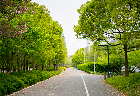 9001cc金沙以诚为本(中国)有限公司官网