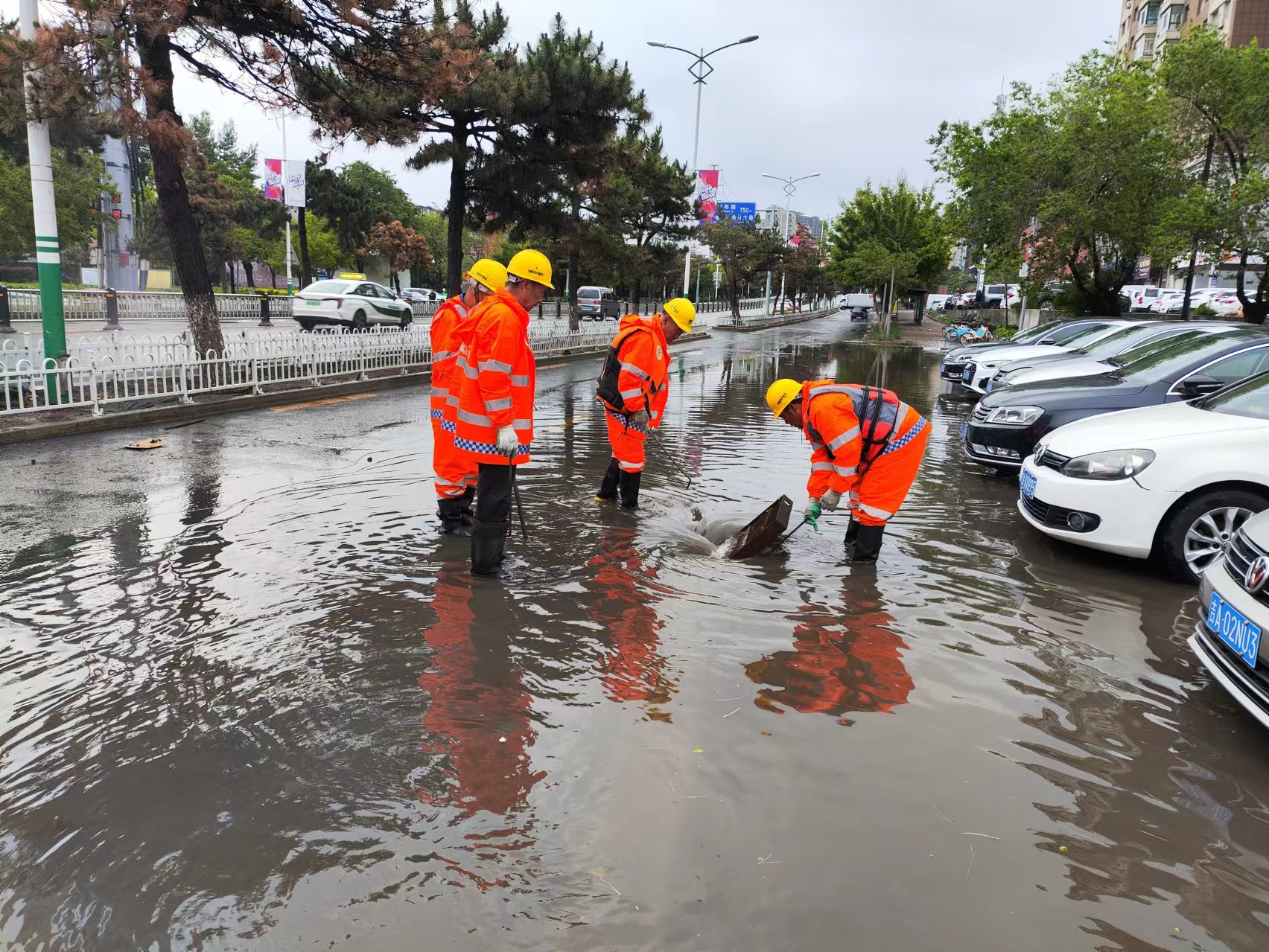 9001cc金沙以诚为本(中国)有限公司官网